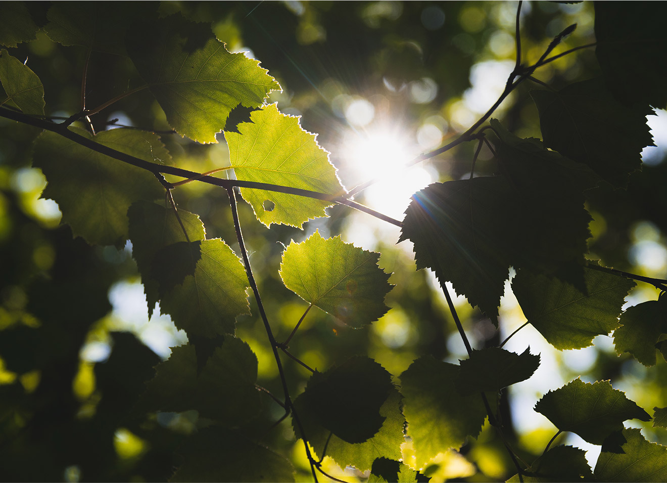 Image de l'actualité