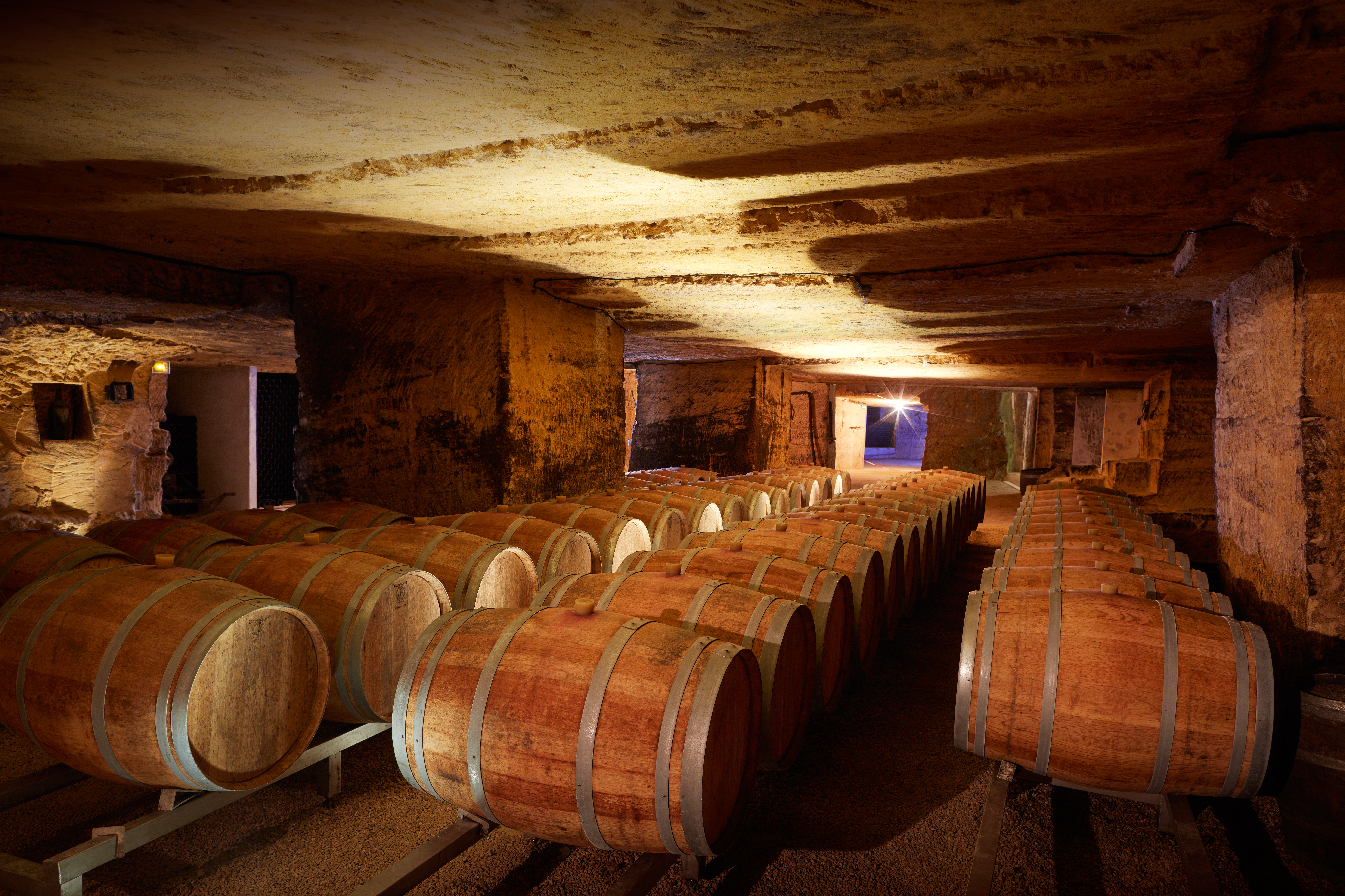 Cave monolithe du Château Rochebelle