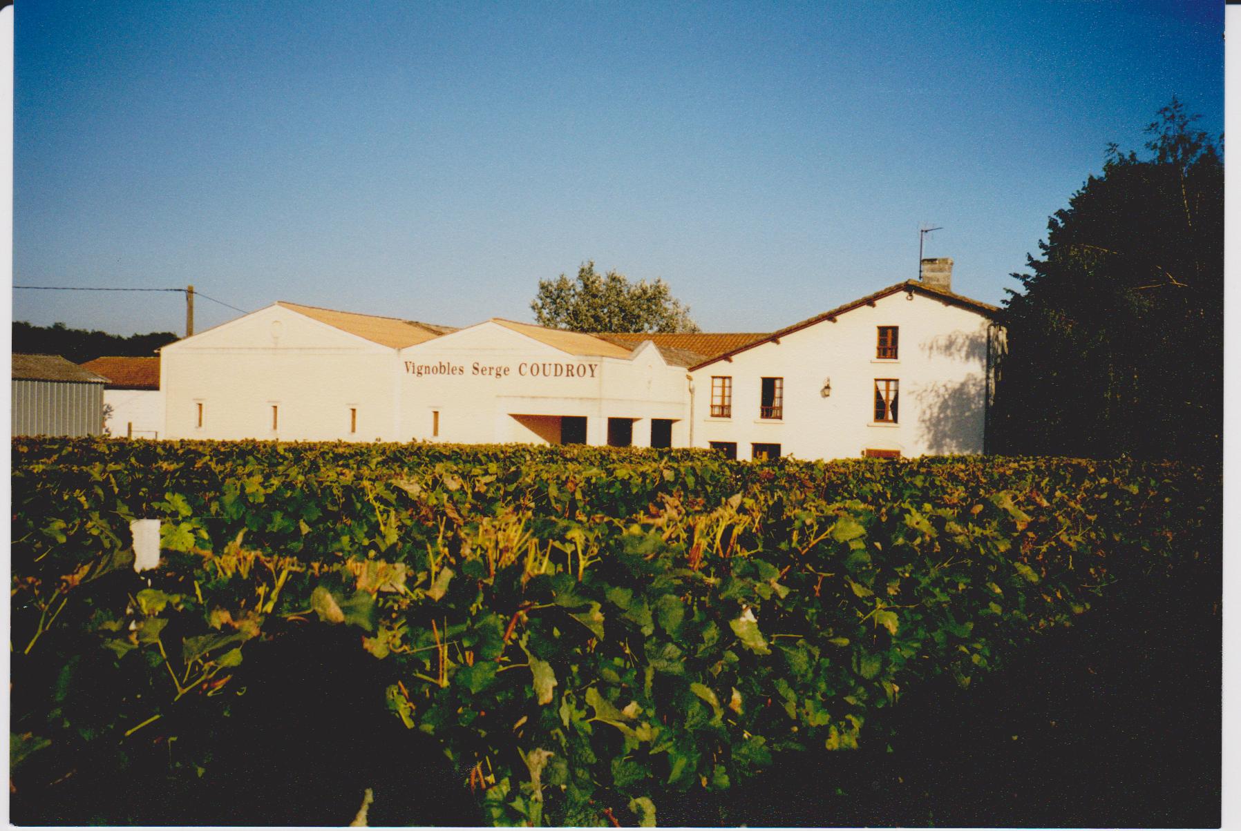 château coudroy borie de l'anglais