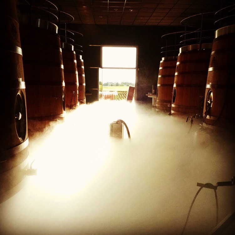 Chai du Château Destieux Grand Cru Classé