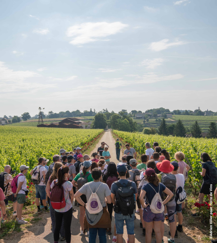 randonnée vignoble engagé à saint emilion